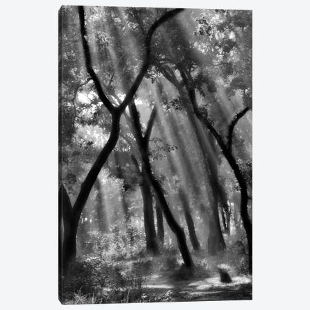 Enchanted Forest... Canvas Print #OXM2251} by Yvette Depaepe Art Print