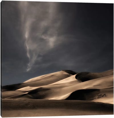 Nature Heals And Cheers... Canvas Art Print - Desert Landscape Photography