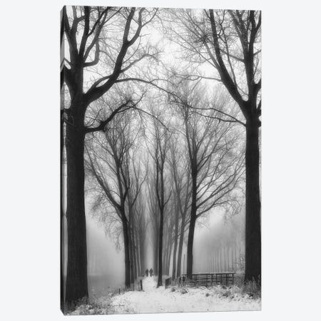 Then Winter Comes Canvas Print #OXM2258} by Yvette Depaepe Canvas Print