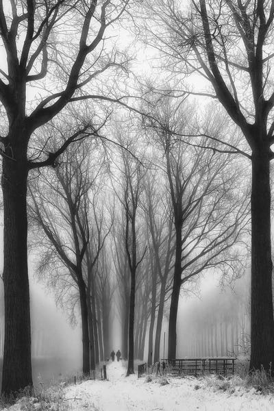 Snowscapes: Then Winter Comes by Yvette Depaepe