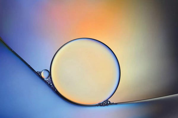 Nature Close-Ups: Oil And Water In Harmony by Heidi Westum