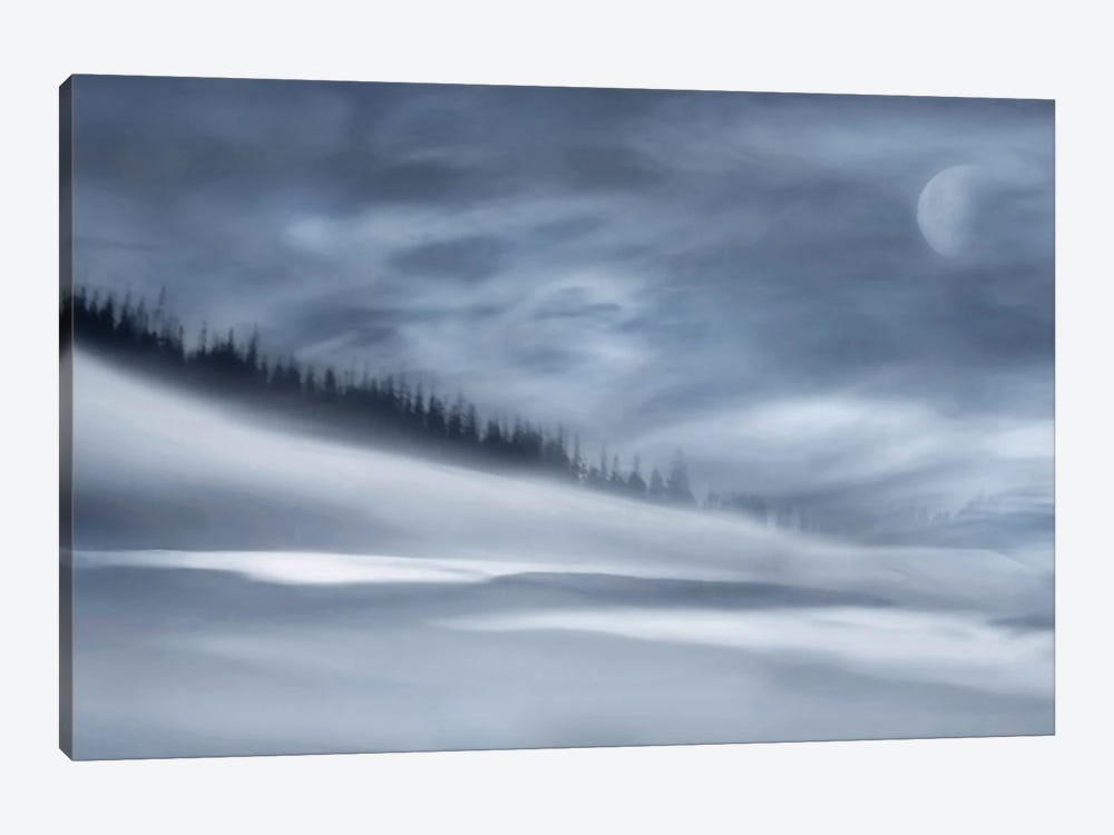 Winter Night by Heidi Westum 1-piece Canvas Print