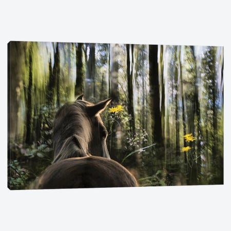 Sound Are Forest Canvas Print #OXM2341} by Milan Malovrh Art Print