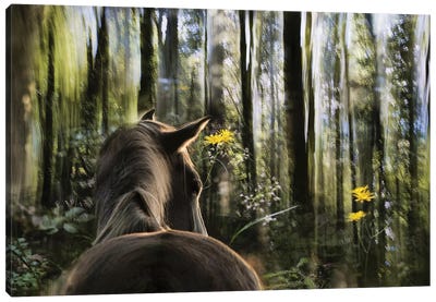 Sound Are Forest Canvas Art Print