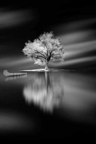 Large Black & White Art - Canvas Prints: Quiet by David Senechal Photographie