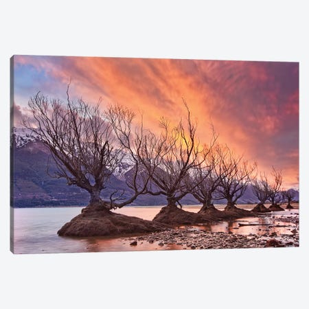 Glenorchy On Fire Canvas Print #OXM2383} by Yan Zhang Canvas Print