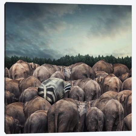 Dare To Be Different Canvas Print #OXM2461} by hardibudi Canvas Art