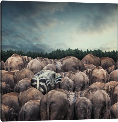 Dare To Be Different Canvas Art Print - Titles That Tell a Story