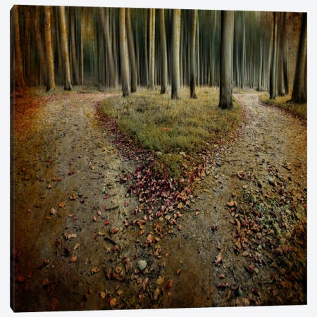 Another Lonely Heart In Haunted Woods Canvas Print #OXM2470} by Mario Benz Art Print