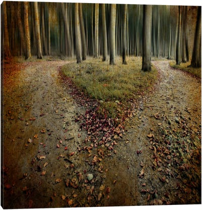 Another Lonely Heart In Haunted Woods Canvas Art Print - Moody Lit Photography