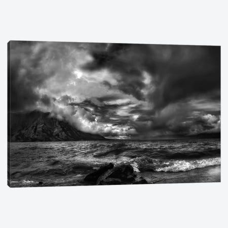Just Before The Storm Canvas Print #OXM2487} by Yvette Depaepe Canvas Art Print