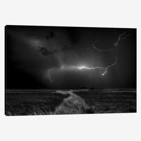 Sometimes The Sky Explodes Canvas Print #OXM2489} by Yvette Depaepe Canvas Wall Art