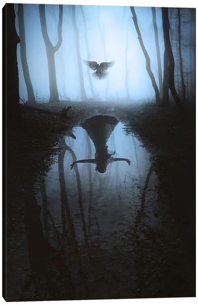 Fly To You II Canvas Art Print