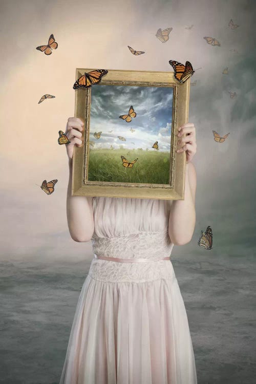 Set Them Free by Baden Bowen wall art