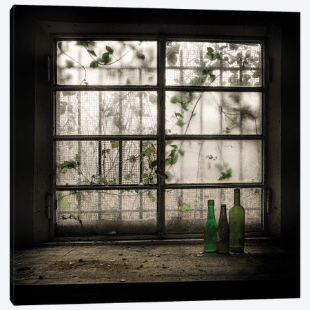 Still Life With Glass Bottle Canvas Print #OXM2671} by Vito Guarino Canvas Print