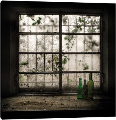 Still Life With Glass Bottle Canvas Art Print - 1x Architecture