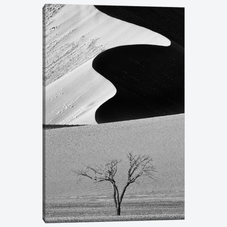 Dune Curves Canvas Print #OXM2681} by Ali Khataw Canvas Art