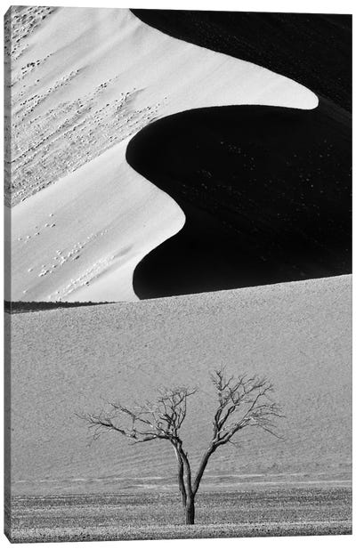 Dune Curves Canvas Art Print