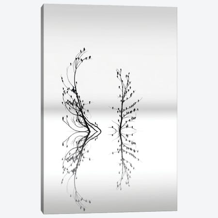 Trees With Birds Canvas Print #OXM2735} by George Digalakis Art Print