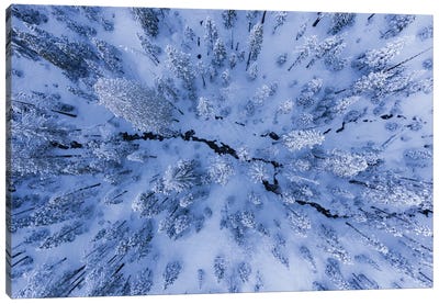 Winter Wonderland Canvas Art Print