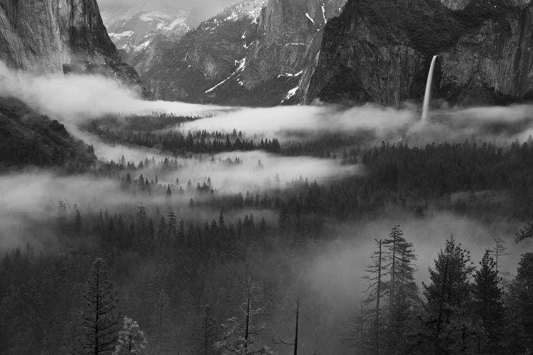 Fog Floating In Yosemite Valley