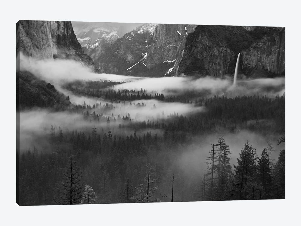 Fog Floating In Yosemite Valley by Hong Zeng 1-piece Canvas Artwork