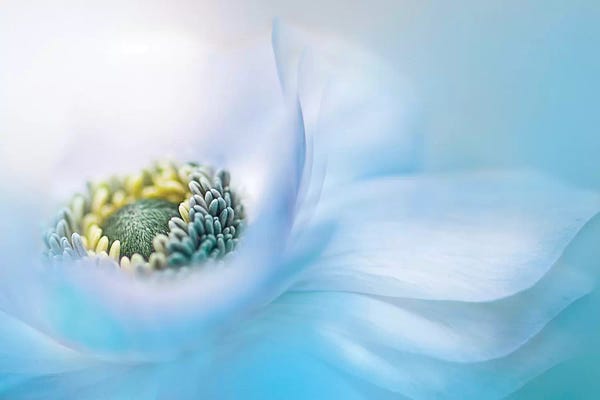 Jacky Parker