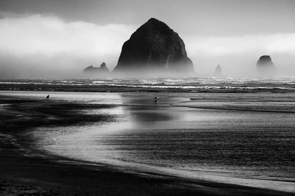 Mist & Fog: Cannon Beach by Martin Rak