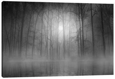 Morning Mist Canvas Art Print - Spooky Scenes