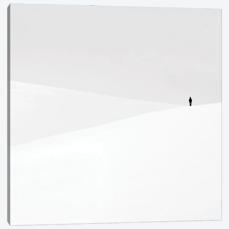 Just Another Empty Dream Canvas Print #OXM281} by Emilian Chirila Canvas Art