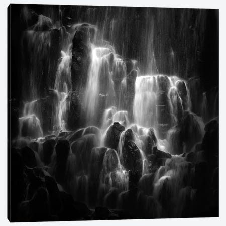 The Veiled Beings- Ramona Falls Canvas Print #OXM2834} by Shenshen Dou Canvas Wall Art