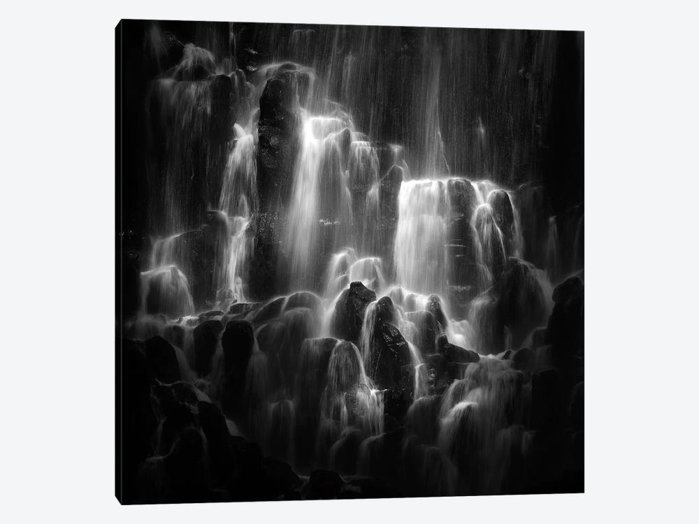 The Veiled Beings- Ramona Falls by Shenshen Dou 1-piece Canvas Print