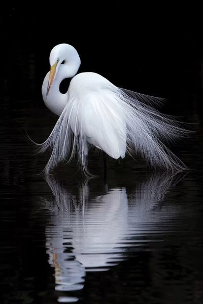 1x.com: Watching by Ben Li