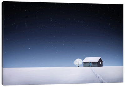Winter I Canvas Art Print