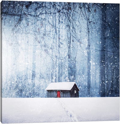Winter II Canvas Art Print - 1x Architecture