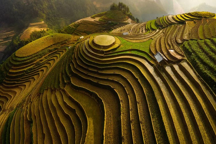 Mu Cang Chai, Vietnam II by Đao Tấn Phat wall art