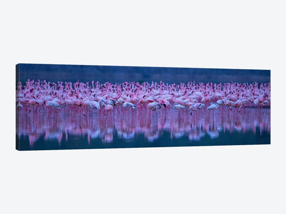 Flamingos by David Hua 1-piece Art Print