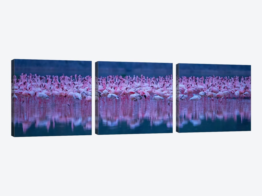 Flamingos by David Hua 3-piece Canvas Art Print