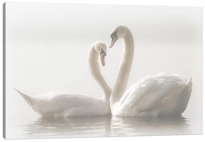 ... Forever... Canvas Art Print - Best Selling Paper