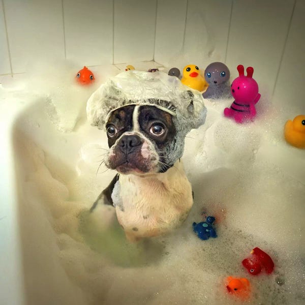 Bathroom Break: The Bath by Ddiarte