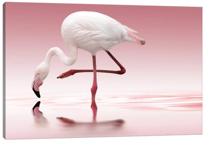 Flamingo Canvas Art Print - Rose Quartz & Serenity