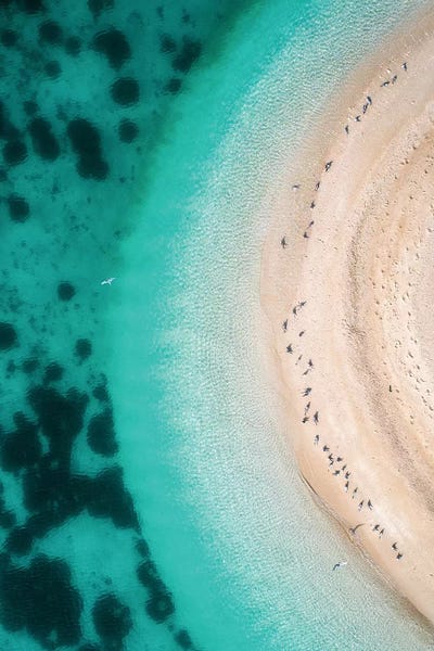 Aerial Beaches: Hot Summer by Faisal Alnomas