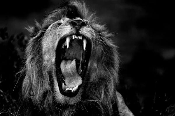 Black & White: Untitled by Giuseppe D'Amico