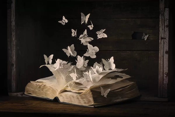 Books: Lepidopterology by Heather Bonadio