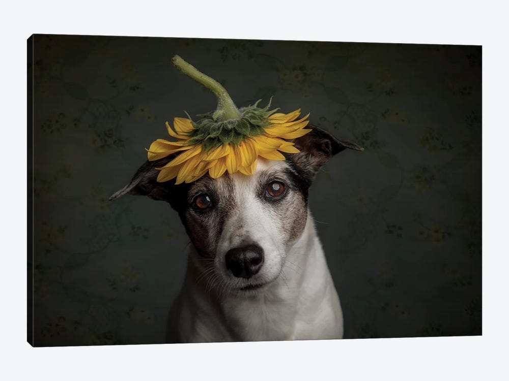 Does She Realize She Looks Like A Sunflower.... by Heike Willers 1-piece Art Print