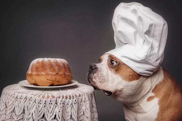 Cakes & Cupcakes: The Confectioner And His Masterpiece by Heike Willers
