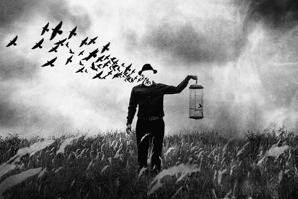 Crows: Freedom by Jay Satriani