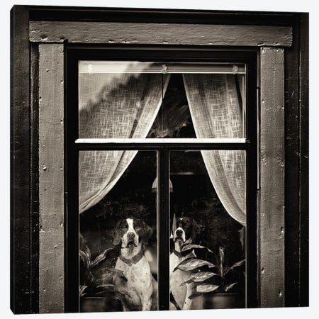 The Dogs I Canvas Print #OXM3078} by Julien Oncete Canvas Wall Art
