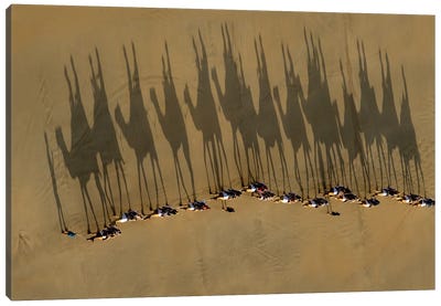 A Journey Of Shadows Canvas Art Print - Camel Art
