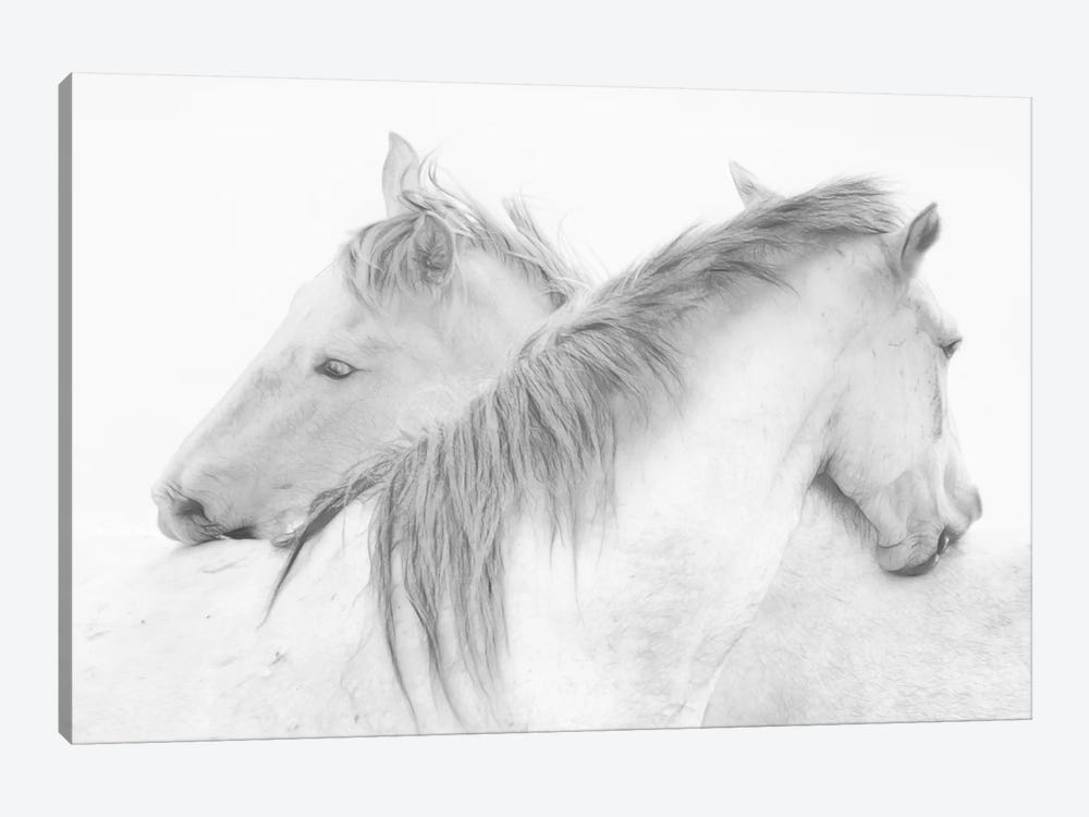 Horses by Marie-Anne Stas 1-piece Canvas Art